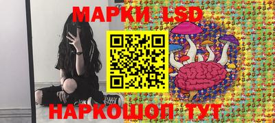 стаф Новодвинск