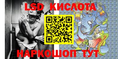 стаф Новодвинск