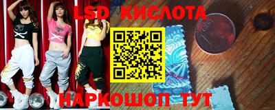 твердый Новозыбков