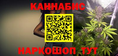 стаф Новодвинск