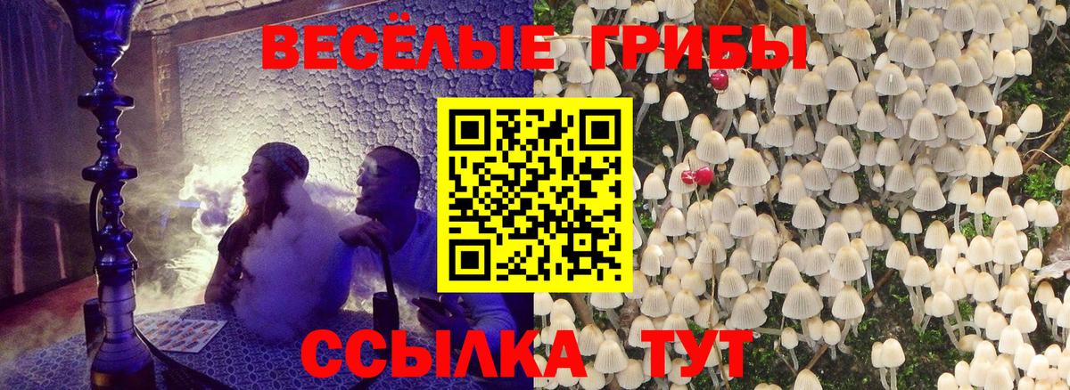 Галлюциногенные грибы Magic Shrooms Тобольск