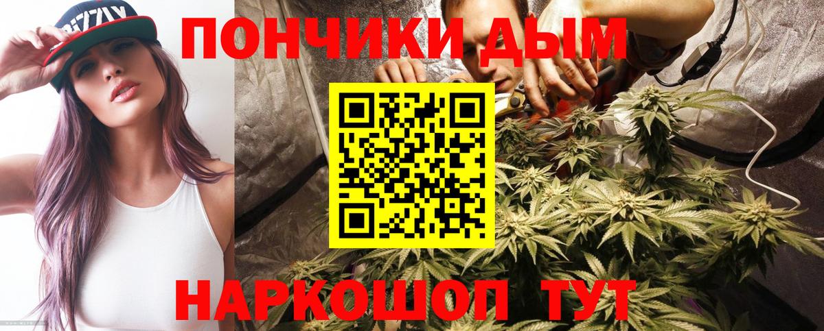 Марихуана ГИДРОПОН  Бошки марихуана Bruce Banner  Тобольск  Марихуана семена  Вход с VPN 